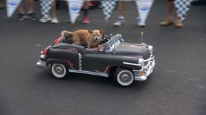 My Classic Car, Season 23 Episode 19 image