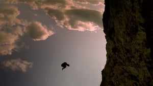 Horizon, Season 50 Episode 10 image