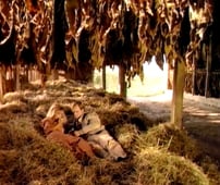 The Hitchhiker, Season 2 Episode 4 image