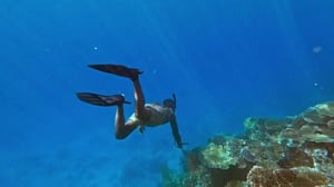 Survivor, Season 48 Episode 11 image