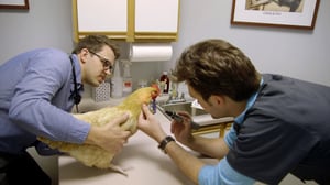 Hanging with the Hendersons, Season 1 Episode 1 image