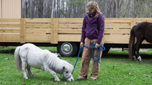 The Incredible Dr. Pol, Season 6 Episode 7 image