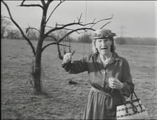 Walker, Texas Ranger, Season 3 Episode 19 image