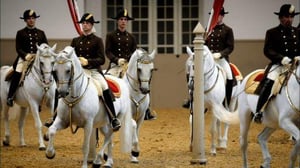 Nature, Season 31 Episode 11 image