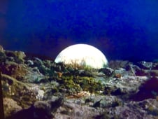 UFO, Season 1 Episode 24 image