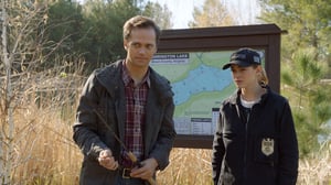 NCIS, Season 15 Episode 20 image