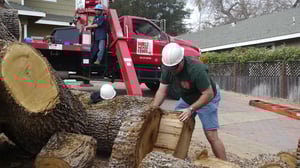 Redwood Kings, Season 2 Episode 5 image