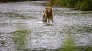 Into Alaska, Season 1 Episode 9 image