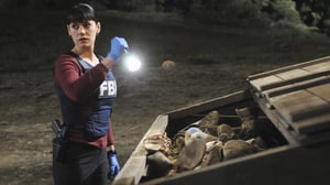 Criminal Minds, Season 4 Episode 26 image