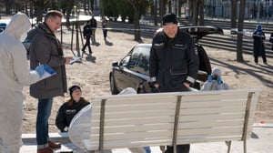 The Nordic Murders, Season 6 Episode 1 image