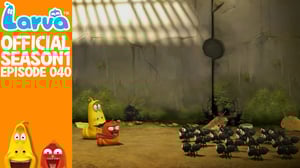 Larva, Season 1 Episode 40 image