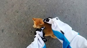 Road Wars, Season 1 Episode 9 image