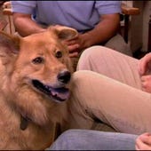 Dog Whisperer, Season 1 Episode 23 image