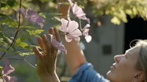 Ageless Gardens, Season 4 Episode 4 image