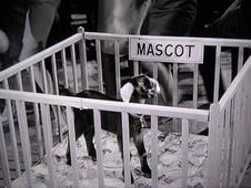 The Adventures of Ozzie and Harriet, Season 11 Episode 19 image