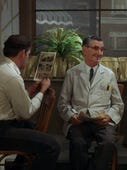 The Andy Griffith Show, Season 7 Episode 9 image