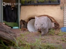 Nature, Season 39 Episode 2 image