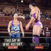 WWE Raw, Season 1 Episode 17 image