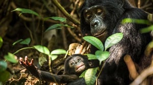 Life Story, Season 1 Episode 6 image