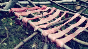 Merchants of the Wild, Season 1 Episode 9 image