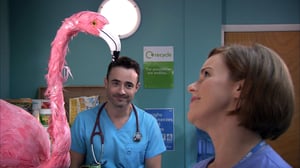 Holby City, Season 17 Episode 27 image