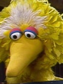 Sesame Street, Season 13 Episode 1 image