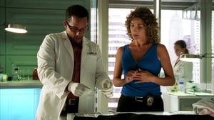 CSI: NY, Season 4 Episode 3 image