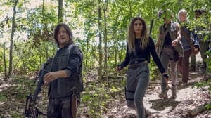 The Walking Dead, Season 10 Episode 8 image