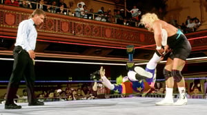 WWE Raw, Season 1 Episode 18 image