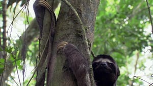 Man, Woman, Wild, Season 2 Episode 3 image