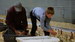 The American Farm, Season 1 Episode 1 image