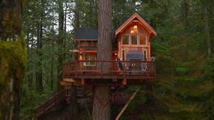 Treehouse Masters, Season 6 Episode 6 image