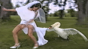 America's Funniest Home Videos, Season 14 Episode 10 image