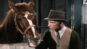 My Favorite Martian, Season 3 Episode 29 image