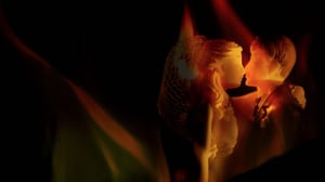 10 Steps to Murder, Season 1 Episode 8 image