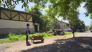 The Amazing Race, Season 37 Episode 7 image