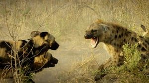 Savage Kingdom, Season 1 Episode 3 image