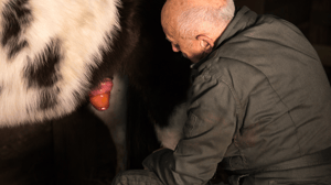 The Incredible Dr. Pol, Season 8 Episode 3 image