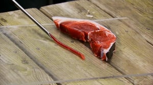 Wicked Tuna: North vs. South, Season 3 Episode 10 image