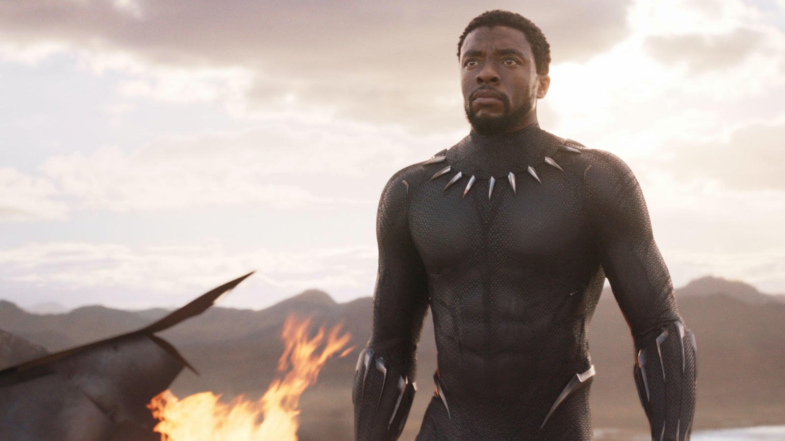 Chadwick Boseman, Black Panther