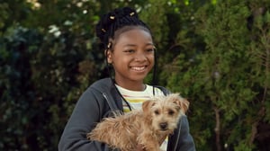 Puppy Place, Season 2 Episode 3 image