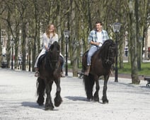 The Bachelorette, Season 15 Episode 8 image