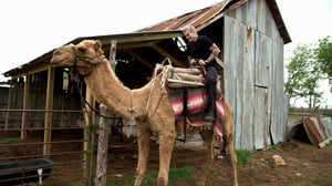 10 Things You Don't Know About, Season 3 Episode 2 image