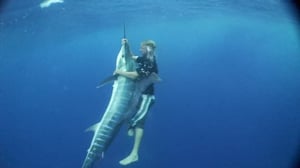 Madman of the Sea, Season 1 Episode 3 image