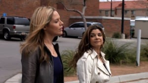 In Plain Sight, Season 3 Episode 9 image