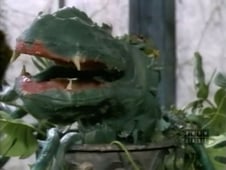 The New Addams Family, Season 1 Episode 55 image