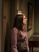 The Big Bang Theory, Season 8 Episode 13 image