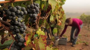 Frontline, Season 31 Episode 13 image