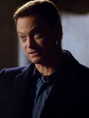 CSI: NY, Season 7 Episode 17 image