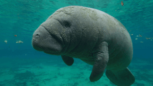 America's National Parks, Season 1 Episode 3 image